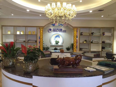 硅藻泥加盟新篇章 浙江紹興藍天豚旗艦店盛大開業引領家居環保潮流